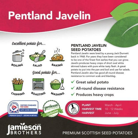 Jamieson Brothers Jamieson Brothers First Early Seed Potato 2kg - Pentland Javelin