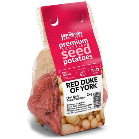Jamieson Brothers Jamieson Brothers First Early Seed Potato 2kg - Red Duke Of York