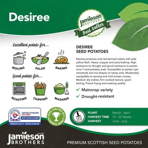 Taylors Jamieson Brothers Main Crop Seed Potato 2kg - Desiree