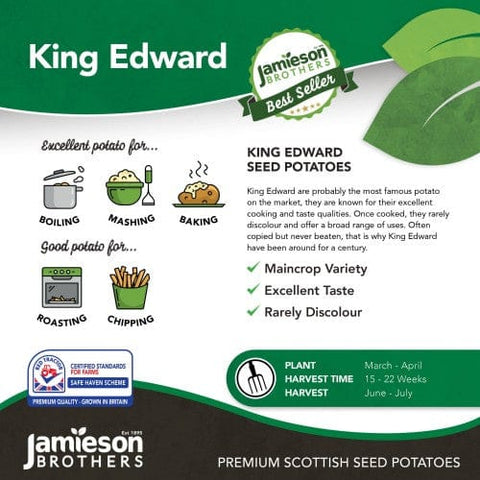 Taylors Jamieson Brothers Main Crop Seed Potato 2kg - King Edward