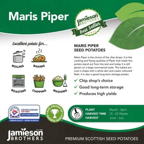 Jamieson Brothers Jamieson Brothers Main Crop Seed Potato 2kg - Maris Piper
