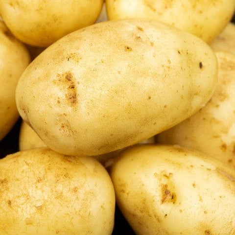 Jamieson Brothers Jamieson Brothers Main Crop Seed Potato 2kg - Maris Piper
