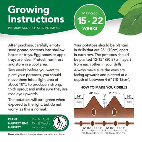 Jamieson Brothers Jamieson Brothers Main Crop Seed Potato 2kg - Picasso