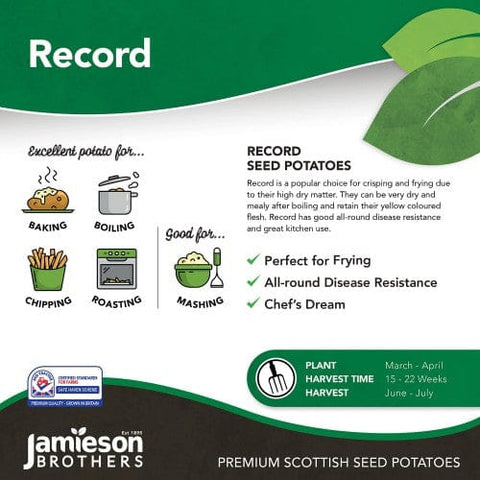Jamieson Brothers Jamieson Brothers Main Crop Seed Potato 2kg - Picasso