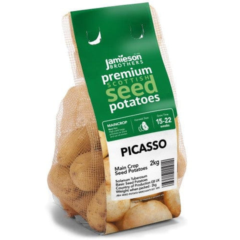 Jamieson Brothers Jamieson Brothers Main Crop Seed Potato 2kg - Picasso