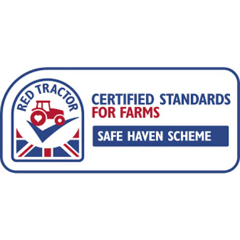 Taylors Jamieson Brothers Second Early Seed Potato 2kg - Charlotte