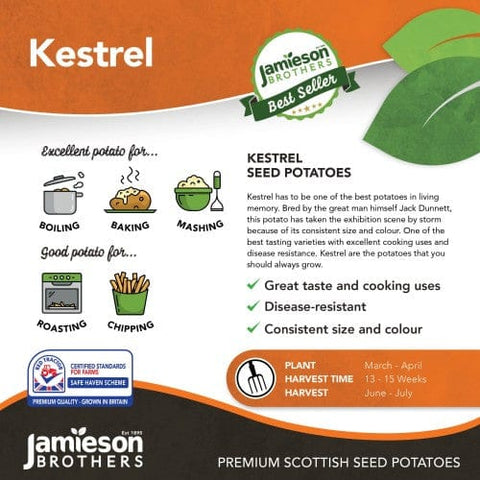 Taylors Jamieson Brothers Second Early Seed Potato 2kg - Kestrel