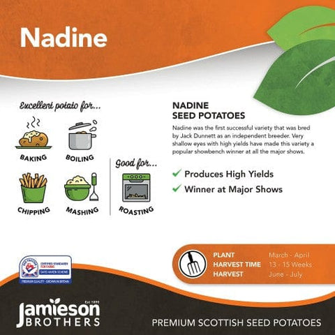 Jamieson Brothers Jamieson Brothers Second Early Seed Potato 2kg - Nadine