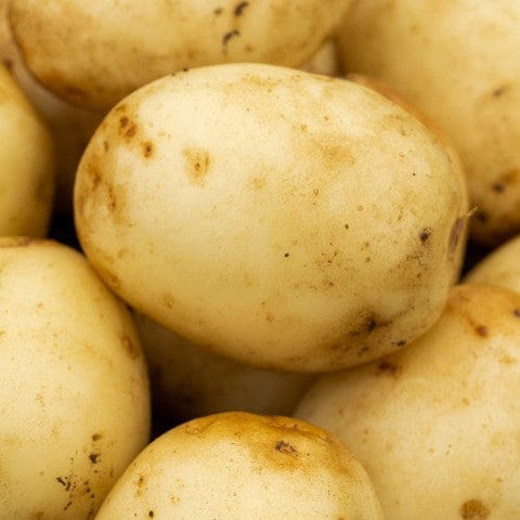 Jamieson Brothers Jamieson Brothers Second Early Seed Potato 2kg - Nadine