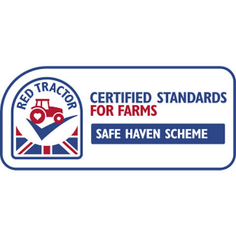 Jamieson Brothers Jamieson Brothers Second Early Seed Potato 2kg - Saxon