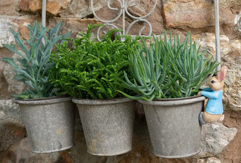 Jardinopia Beatrix Potter Peter Rabbit Plant Pot Hanger - Hanging