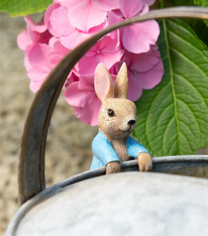 Jardinopia Beatrix Potter Peter Rabbit Plant Pot Hanger - Hanging