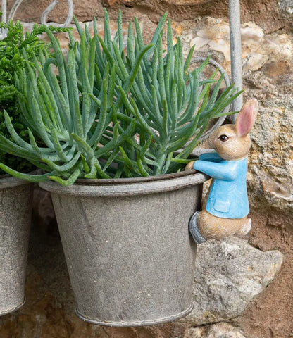 Jardinopia Beatrix Potter Peter Rabbit Plant Pot Hanger - Hanging