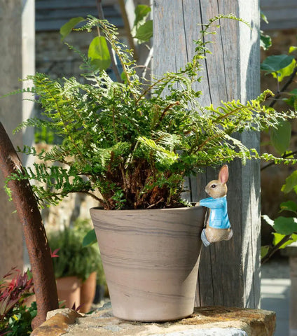 Jardinopia Beatrix Potter Peter Rabbit Plant Pot Hanger - Hanging