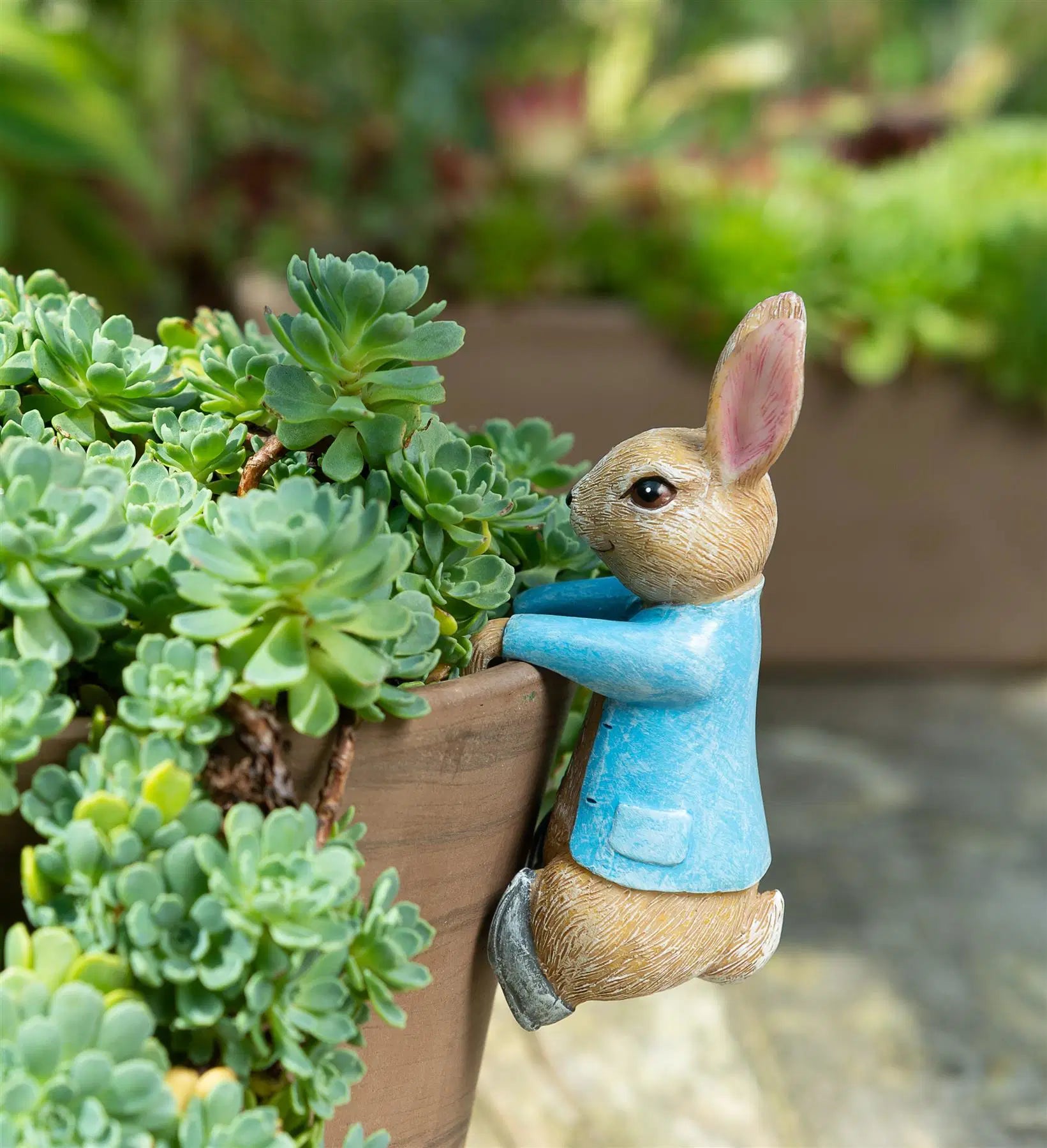 Jardinopia Beatrix Potter Peter Rabbit Plant Pot Hanger - Hanging