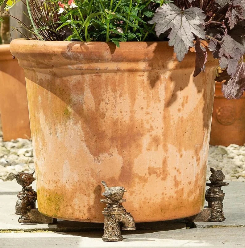 Jardinopia Potty Wren on Tap