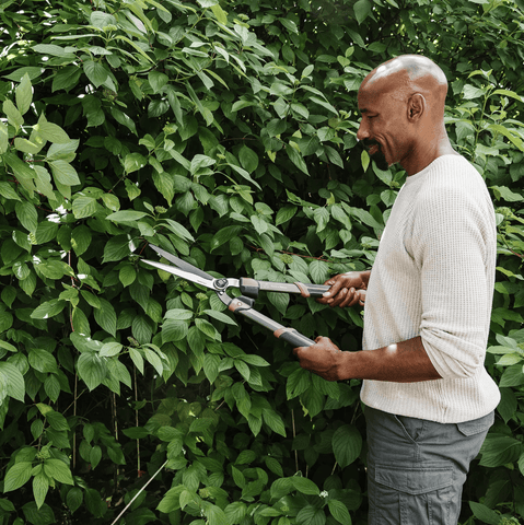 Kent & Stowe Garden Life Hedge Shears