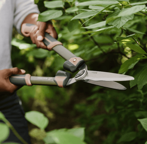 Kent & Stowe Garden Life Hedge Shears