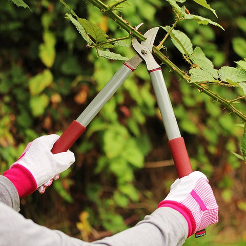 Kent & Stowe Gardening Tools Kent and Stowe Garden Life Loppers