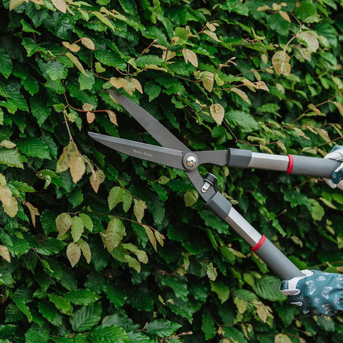 Kent and Stowe Traditional Hedge Shears