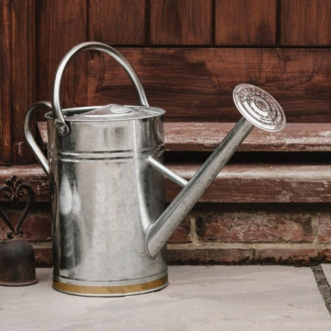 Kent & Stowe Watering Can Kent & Stowe 9L Galvanised Metal Watering Can