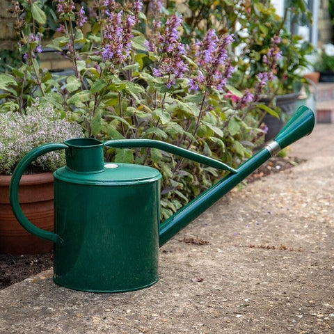 Kent & Stowe Watering Can Kent & Stowe 9L Metal Long Reach Watering Can - Forest Green