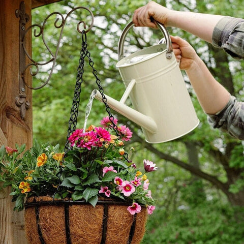Kent & Stowe Watering Can Kent & Stowe 9L Vintage Cream Watering Can
