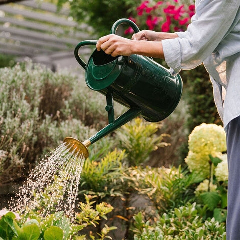 Kent & Stowe Watering Can Kent & Stowe Metal Watering Can Forest Green 4.5L