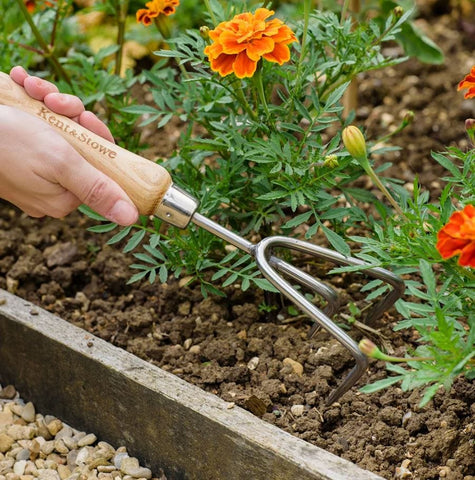 Kent & Stowe Garden Tools Kent & Stowe Stainless Steel Hand 3 Prong Cultivator 28cm Length