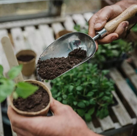 Kent & Stowe Hand Tools Kent & Stowe Stainless Steel Hand Potting Scoop 33cm Length