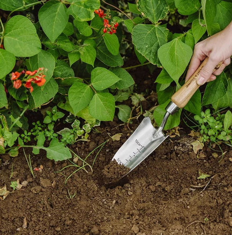 Kent & Stowe Hand Tools Kent & Stowe Stainless Steel Hand Transplanting Trowel 32.5cm