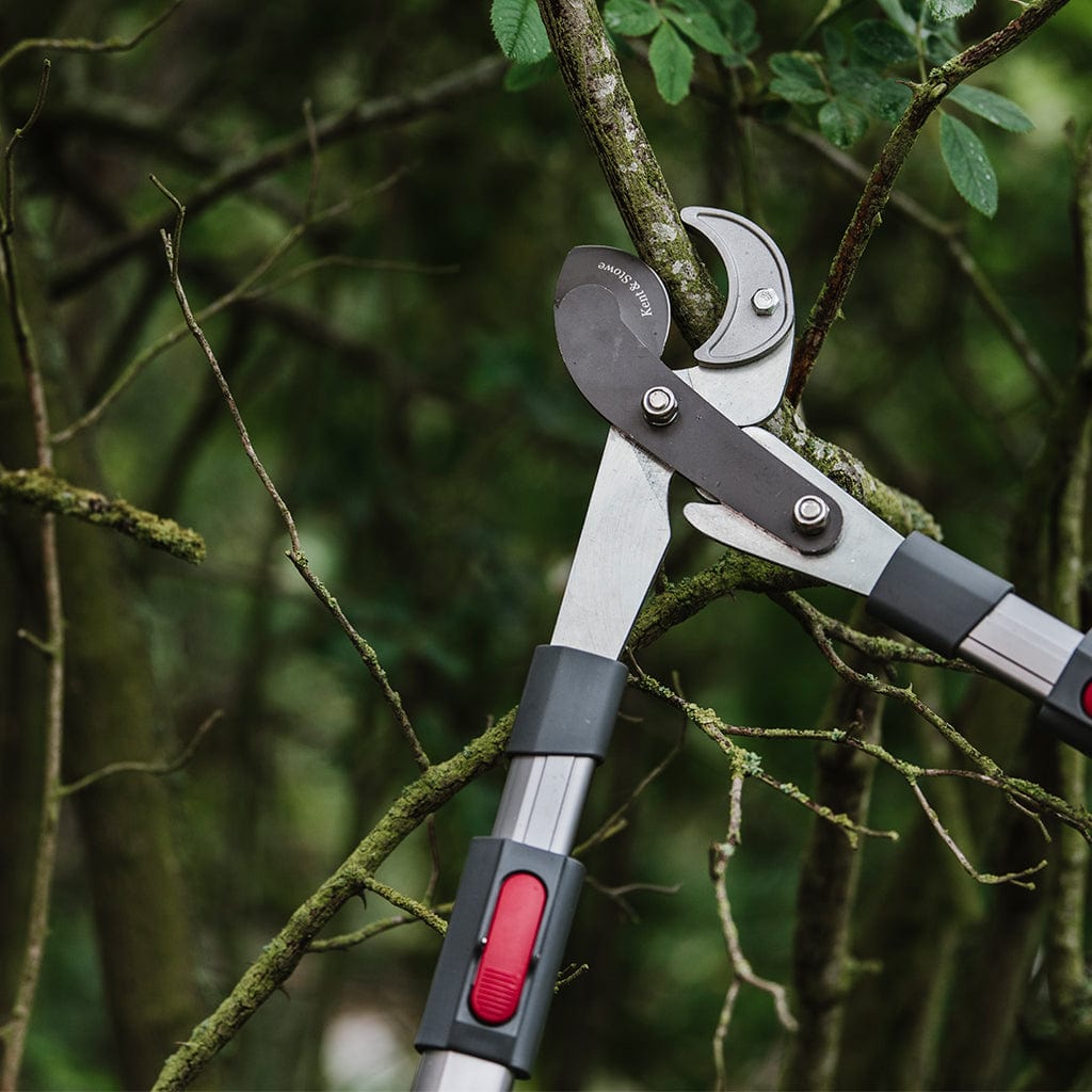 Kent & Stowe Telescopic Geared Anvil Lopper – Trowell Garden Centre