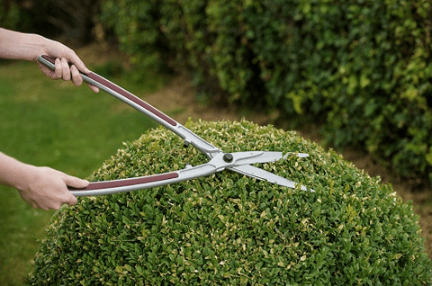Kent & Stowe sheers Kent & Stowe Topiary Hedge Shears