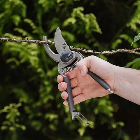 Kent & Stowe Secateurs Kent & Stowe Traditional Bypass & Anvil Pruner Secateurs Twin Set