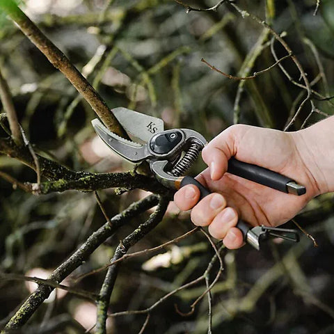 Kent & Stowe Secateurs Kent & Stowe Traditional Bypass & Anvil Pruner Secateurs Twin Set