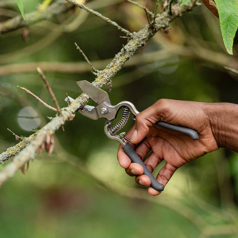 Kent & Stowe Traditional Secateurs Twin Pack