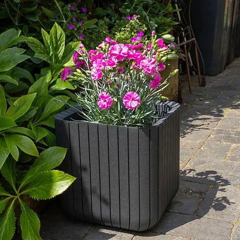 Keter Planters & Pots Keter Anthracite Medium Cube Planter
