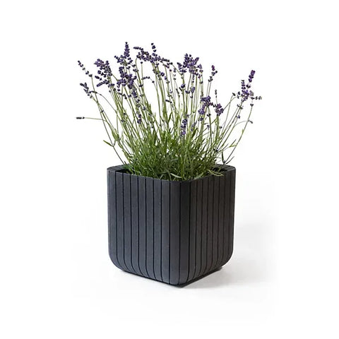 Keter Planters & Pots Keter Anthracite Small Cube Planter