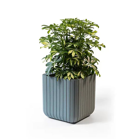 Keter Planters & Pots Keter Green Small Cube Planter