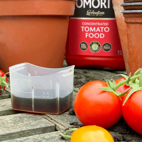 Tomorite Tomato Food Levington Tomorite Liquid Tomato Food 1.2L (20% Extra Free)