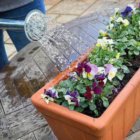 Miracle Gro Plant Food Miracle-Gro All Purpose Plant Food Concentrate Liquid 1L