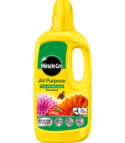 Miracle Gro Plant Food Miracle-Gro All purpose Plant Food Concentrate Liquid 800ml