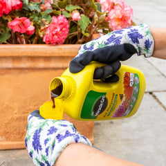 Miracle Gro Plant Food Miracle-Gro All purpose Plant Food Concentrate Liquid 800ml