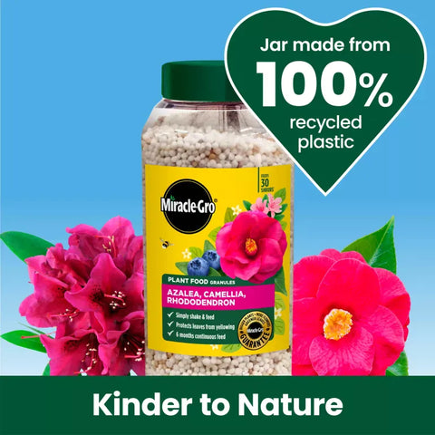 Miracle Gro Ericaceous Feed Miracle Gro Ericaceous Continuous Release Plant Food 900g