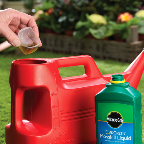 Miracle Gro Lawn Moss Remover Miracle-Gro EverGreen Mosskill Liquid 1 Litre 66sqm