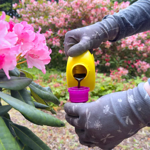 Miracle Gro Ericaceous Feed Miracle-Gro Liquid Plant Food Azalea, Camellia & Rhododendron 800 ml