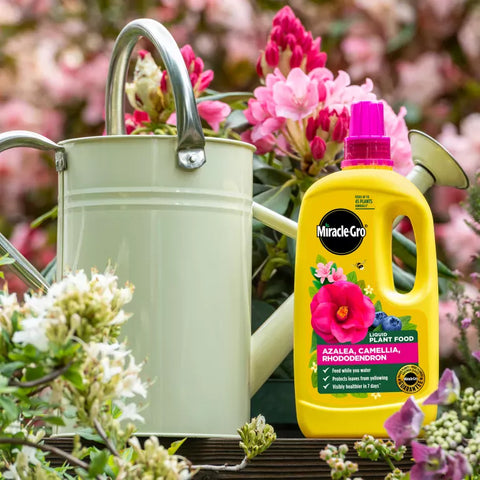 Miracle Gro Ericaceous Feed Miracle-Gro Liquid Plant Food Azalea, Camellia & Rhododendron 800 ml