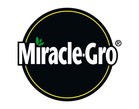 Miracle Gro Lawn Patch Repair Miracle Gro-Patch Magic 20 Patches