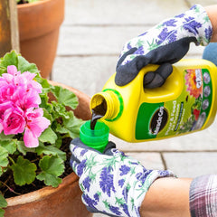 Miracle Gro Plant Food Miracle-Gro Pour and Feed Ready To Use Plant Food 1L