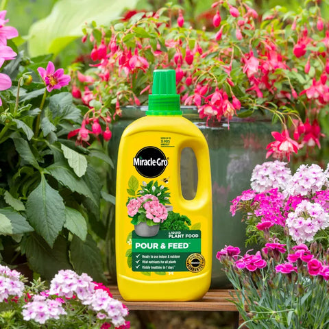 Miracle-Gro Pour & Feed Ready-to-Use Liquid Plant Food 1l